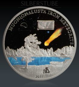 Meteorite Muonionalusta 2011