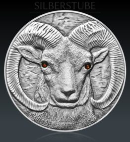 Argali – ovis ammon 2013 Silber
